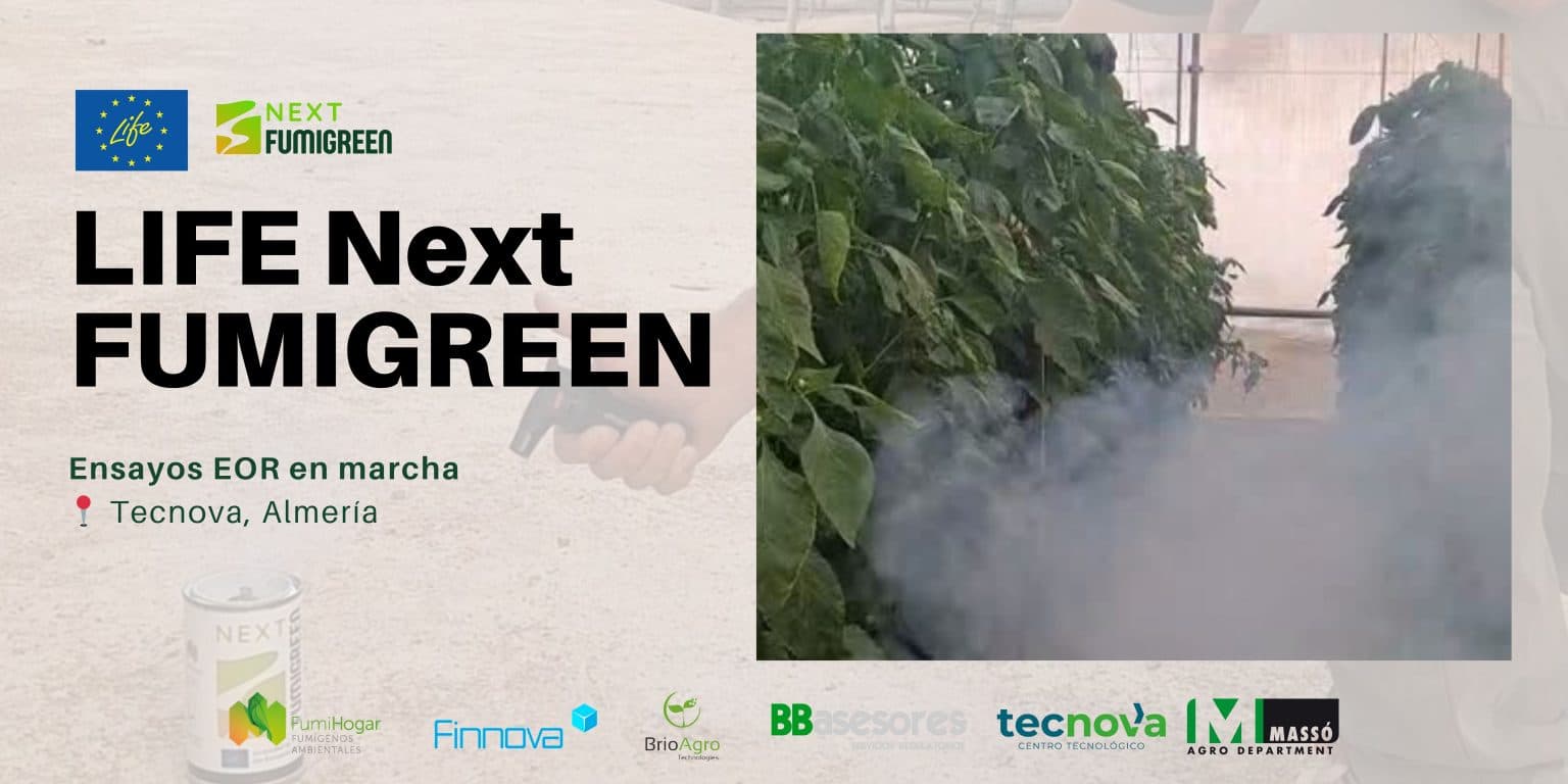 Nuevos ensayos EOR validan la eficacia del biopesticida FumiGreen frente a trips