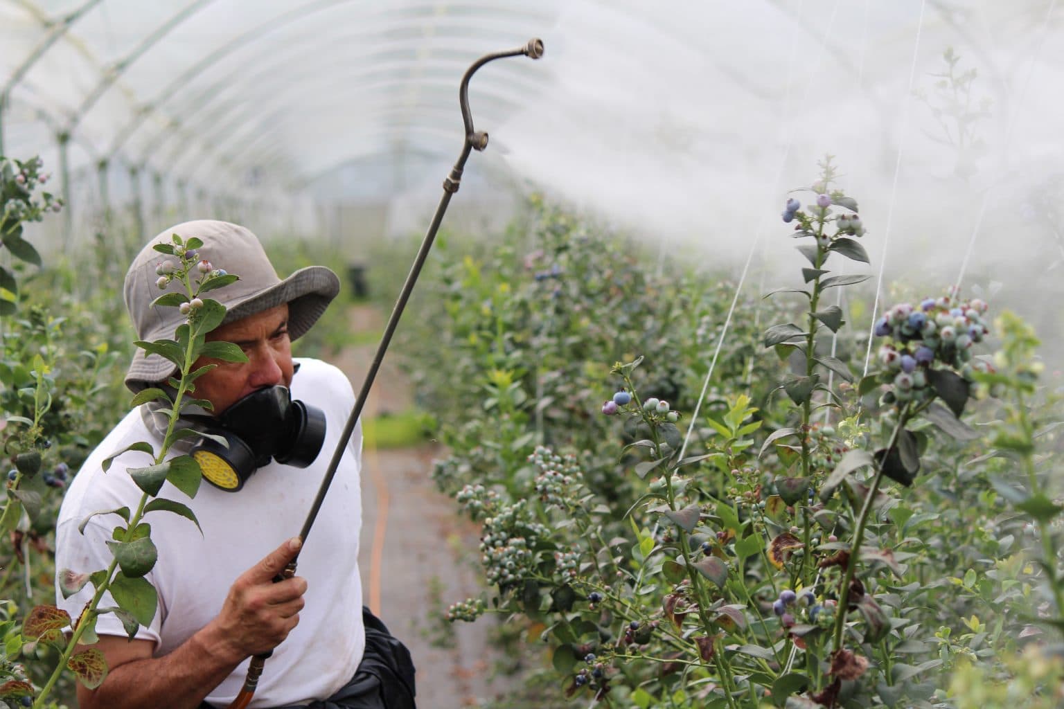 La Comisión adopta un paquete de medidas que reducirá el uso de pesticidas