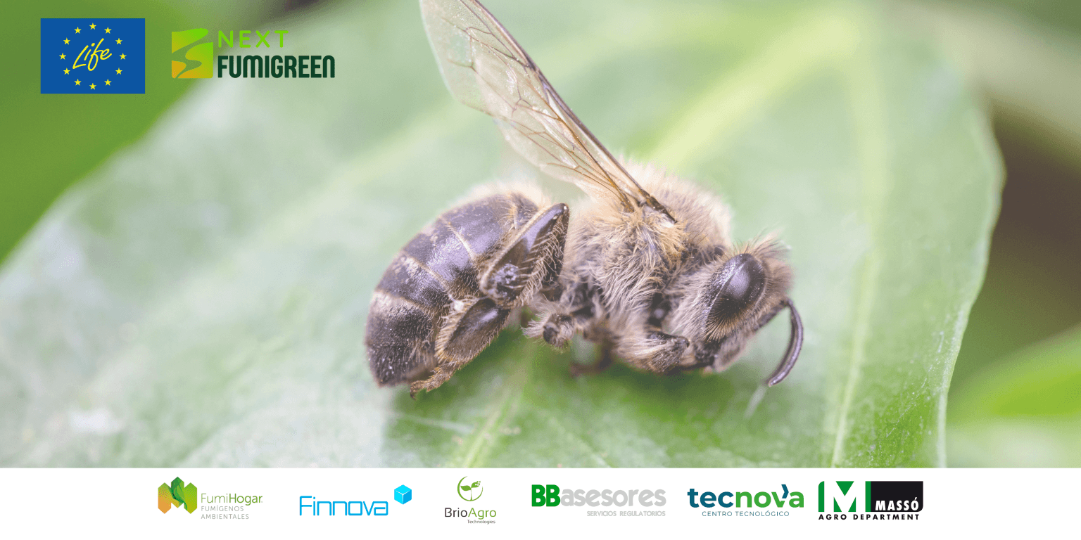 Menos abejas por el uso de pesticidas