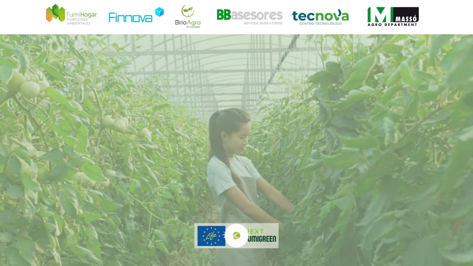 LIFE NextFUMIGREEN presenta una alternativa natural a los pesticidas químicos para cultivos hortícolas de invernadero